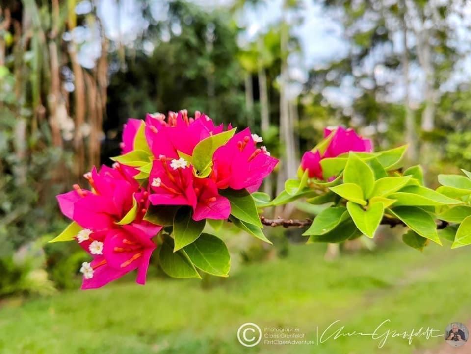 Phurin Thara Resort 란타섬 외부 사진